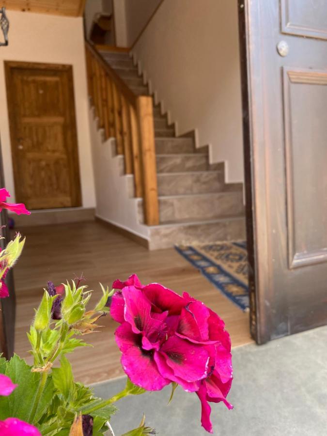 Guesthouse Riverside Berat Exterior photo